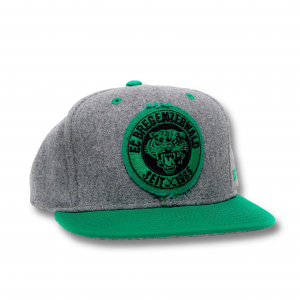 ECB – CCM Snap Back
